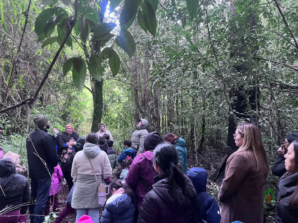 Celebración de Pueblos Originarios Julio 2026