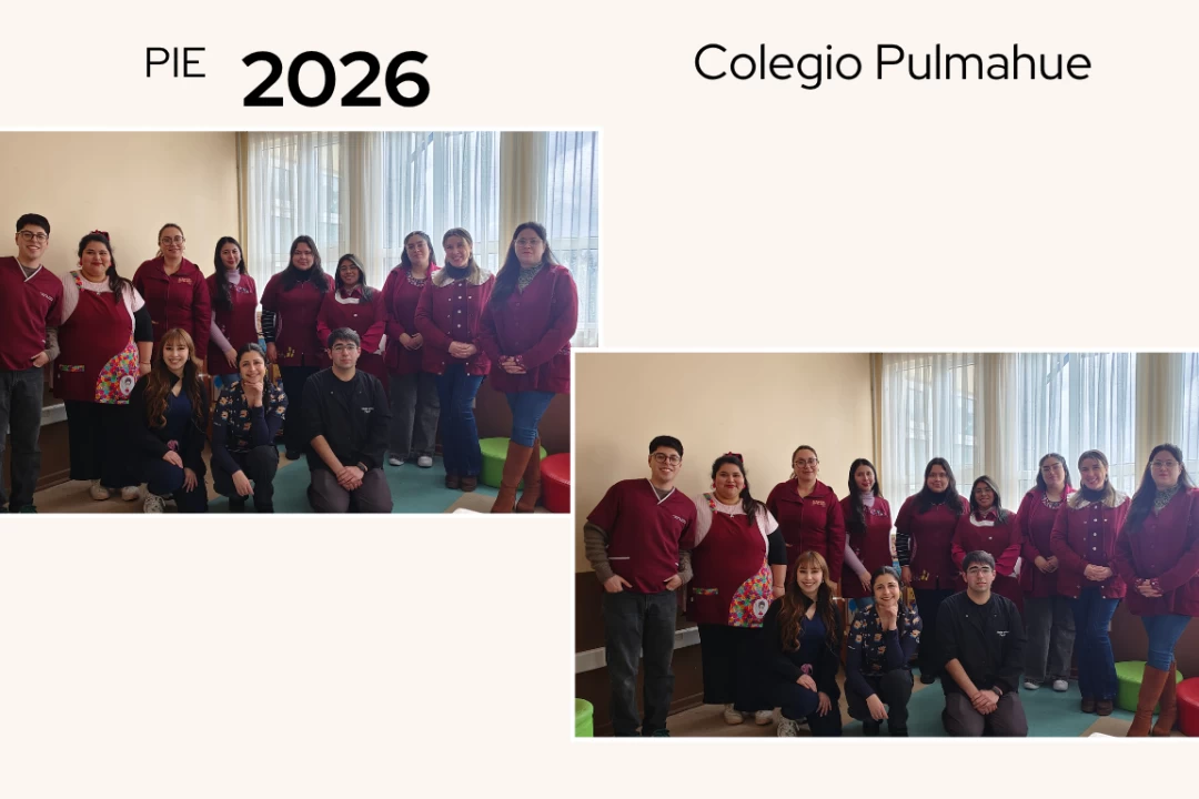 El Programa de Integración Escolar (PIE)